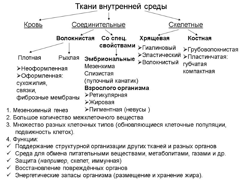 Ткани внутренней среды Кровь          